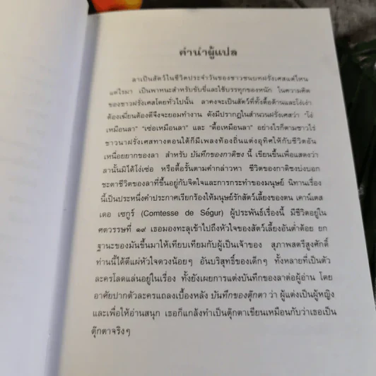 บันทึกของกาดิชง - เคาน์เตส เดอ เซกูร์ รูปที่ 7