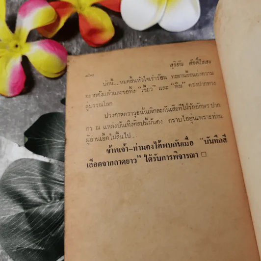 ชุมทางนักเลง - สุริยัน ศักดิ์ไธสง รูปที่ 8