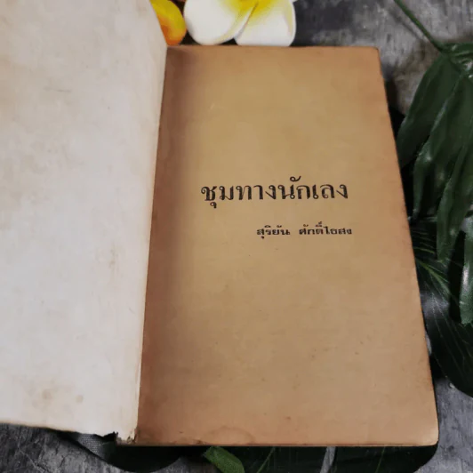 ชุมทางนักเลง - สุริยัน ศักดิ์ไธสง รูปที่ 4