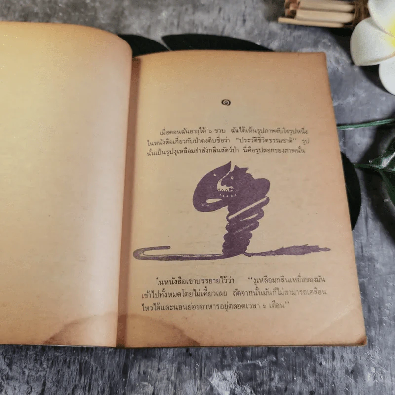 เจ้าชายน้อย แปลจาก Le Petit Prince - อำพรรณ โอตระกูล แปล รูปที่ 11