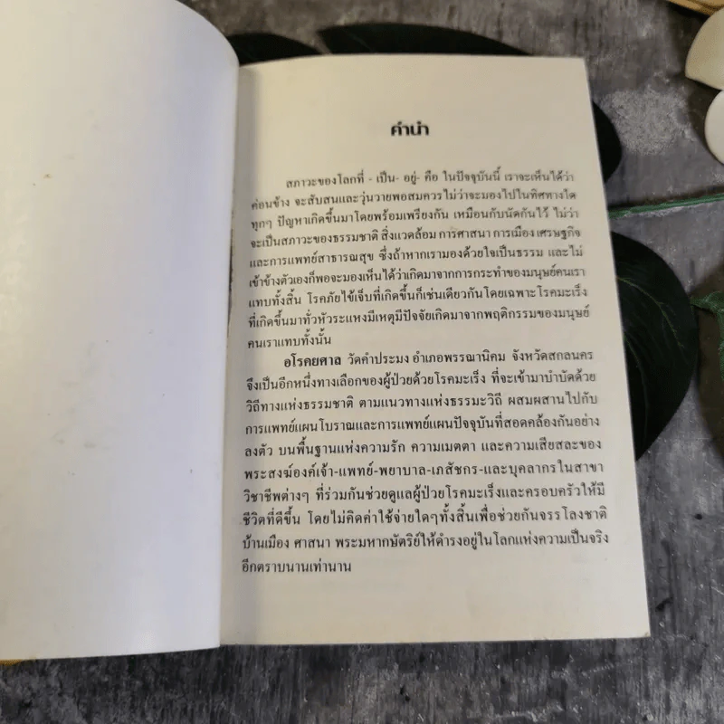 สมาธิบำบัดกับการรักษาโรคมะเร็ง อโรคยศาล รูปที่ 4