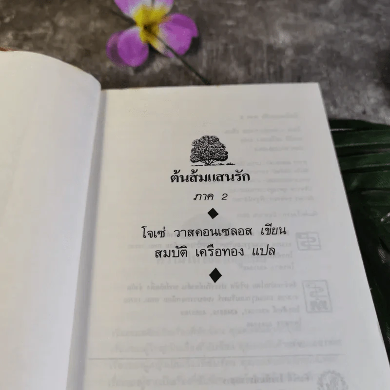 ต้นส้มแสนรัก ภาค 2 - โจเซ่ วาสคอนเซลอส รูปที่ 4