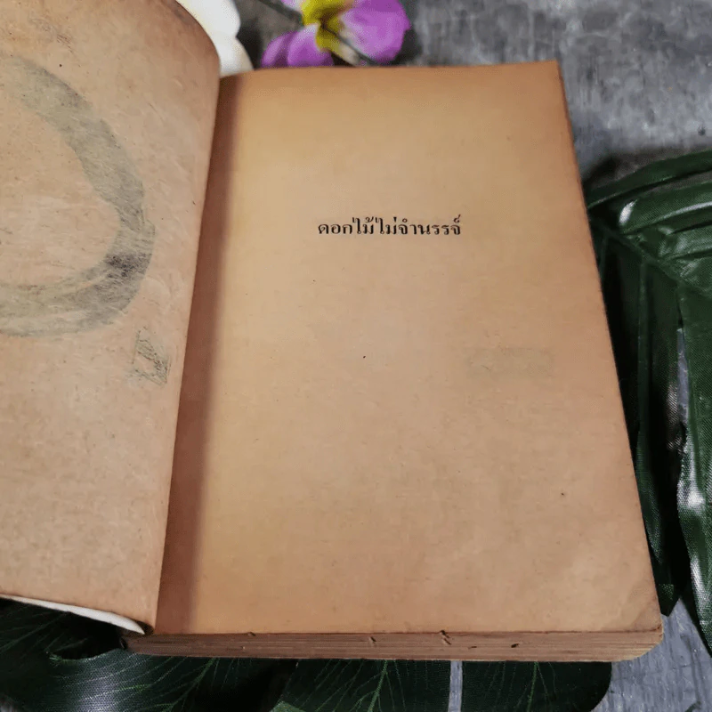 ดอกไม้ไม่จำนรรจ์ - เซนไค ชิบายามะ เขียน, พจนา จันทรสันติ แปล รูปที่ 6