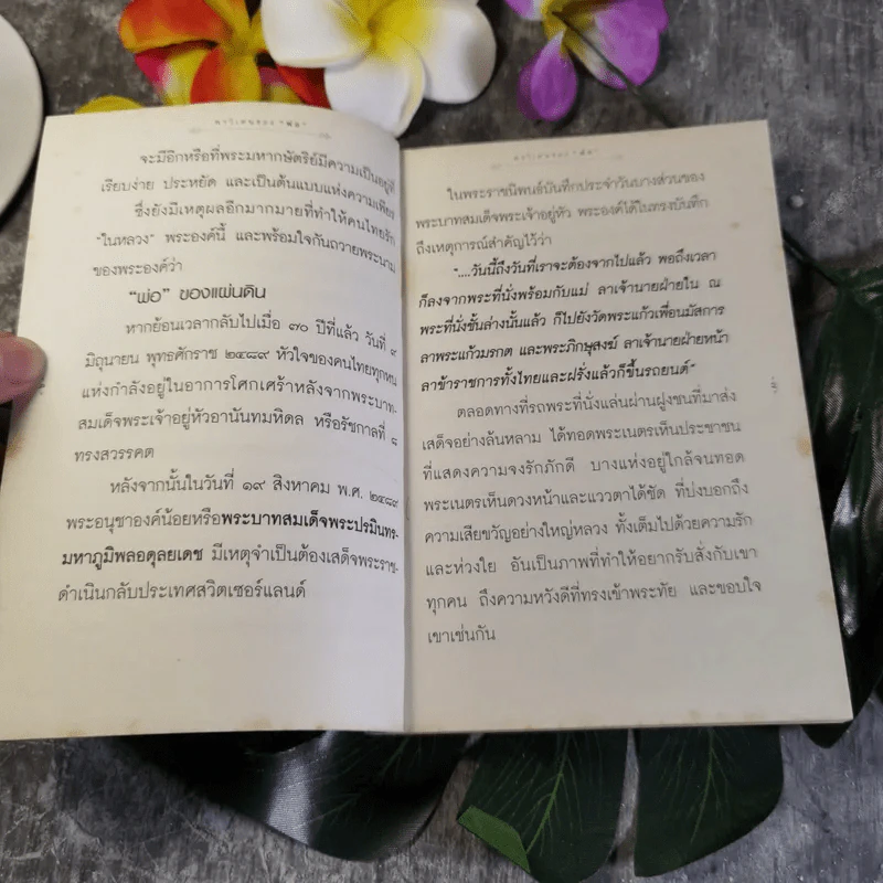 พรวิเศษของพ่อ รูปที่ 6