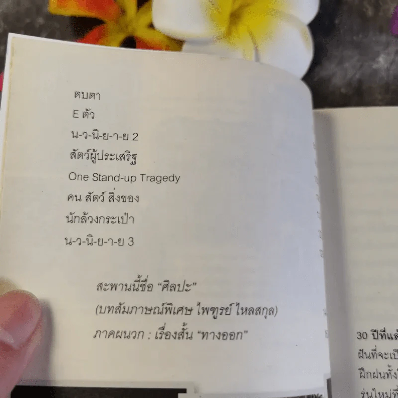 ความรักของคนแปลกหน้า - ไพฑูรย์ ไหลสกุล รูปที่ 6