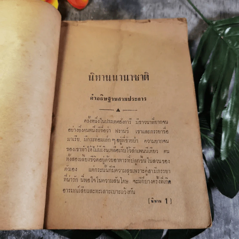 นิทานนานาชาติ - จันตรี ศิริบุญรอด รูปที่ 8