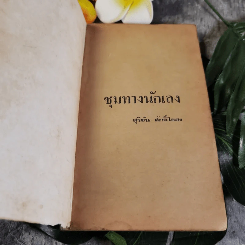 ชุมทางนักเลง - สุริยัน ศักดิ์ไธสง รูปที่ 4