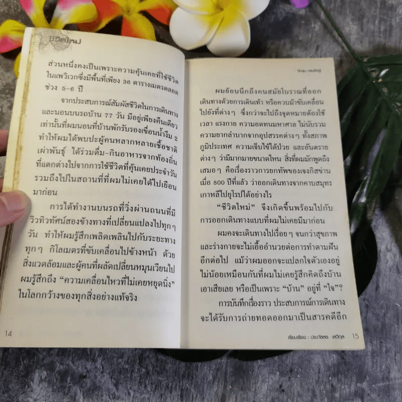 ชีวิตใหม่ - วิกรม กรมดิษฐ์ รูปที่ 10