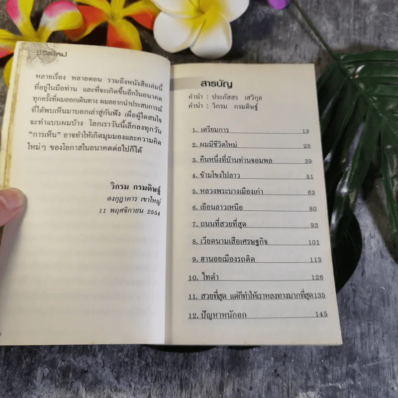 ชีวิตใหม่ - วิกรม กรมดิษฐ์ รูปที่ 11