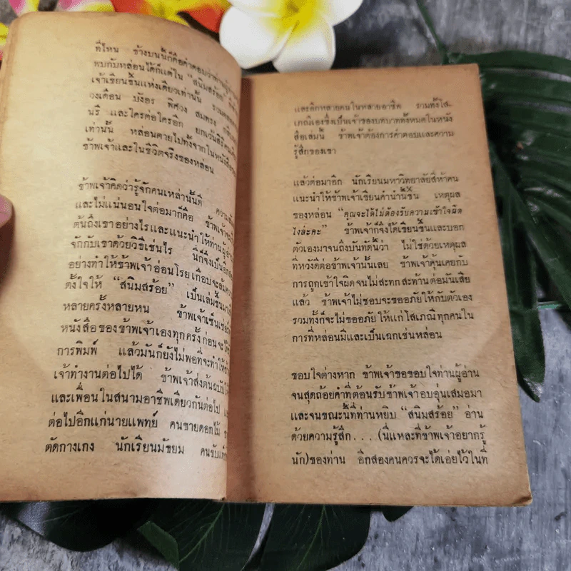 ฝันกลางวันในฤดูฝน สนิมสร้อย เล่ม 2 - รงค์ วงษ์สวรรค์ รูปที่ 9