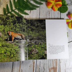 Wild Range จากขุนเขา จรดแนวปะการัง รูปที่ 8