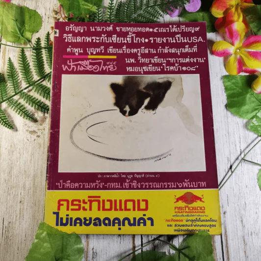 นิตยสารฟ้าเมืองไทย ขายรวม 7 เล่ม รูปที่ 17