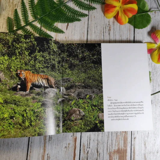 Wild Range จากขุนเขา จรดแนวปะการัง รูปที่ 8