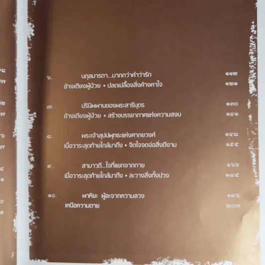 ก่อนอาทิตย์อัสดง - พระไพศาล วิสาโล รูปที่ 15