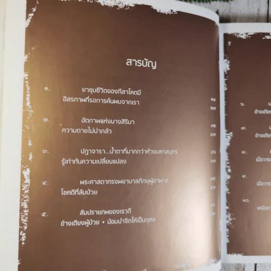 ก่อนอาทิตย์อัสดง - พระไพศาล วิสาโล รูปที่ 14