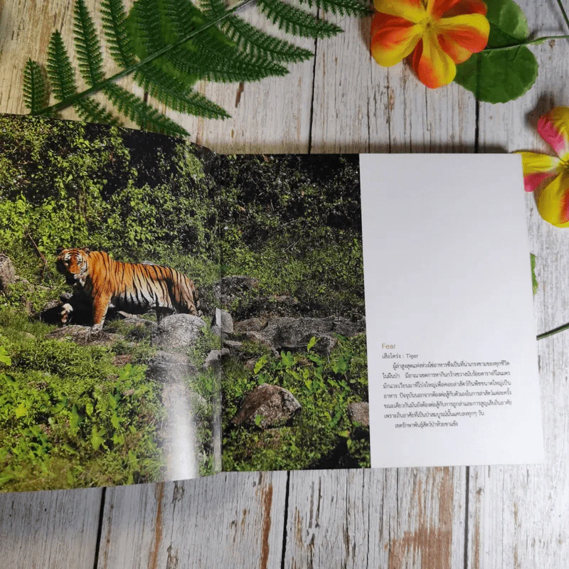 Wild Range จากขุนเขา จรดแนวปะการัง รูปที่ 8