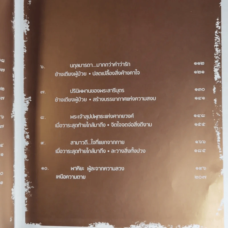 ก่อนอาทิตย์อัสดง - พระไพศาล วิสาโล รูปที่ 15