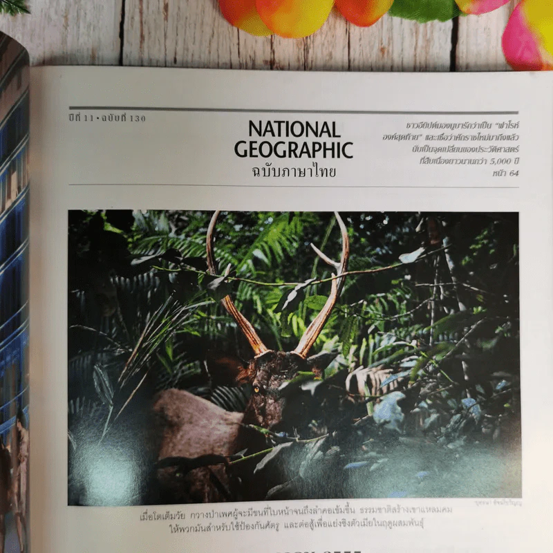 National Geographic ฉบับที่ 130 พ.ค.2555 อียิปต์ ไอซ์แลนด์ ฟลามิงโก สงครามกลางเมืองอเมริกัน วิวัฒนาการของมือ หน้ากาก กวางป่า รูปที่ 6