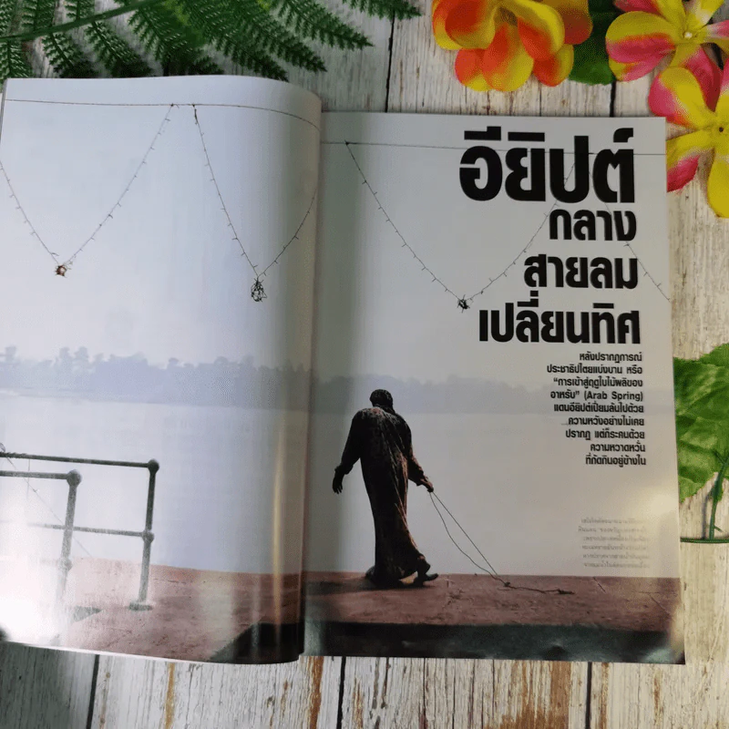 National Geographic ฉบับที่ 130 พ.ค.2555 อียิปต์ ไอซ์แลนด์ ฟลามิงโก สงครามกลางเมืองอเมริกัน วิวัฒนาการของมือ หน้ากาก กวางป่า รูปที่ 10