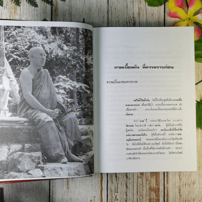 คำสอนในพระพุทธศาสนา - พระธรรมโกศาจารย์ (ปัญญานันทภิกขุ) รูปที่ 12