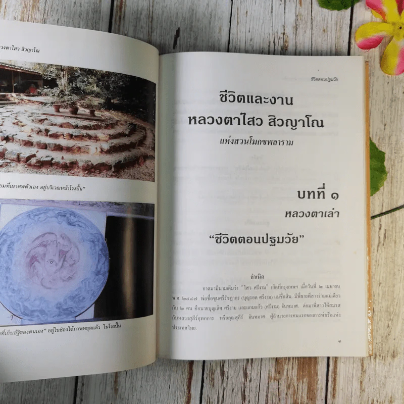 ชีวิตและงานหลวงตาไสว สิวญาโณ แห่งสวนโมกขพลาราม รูปที่ 13