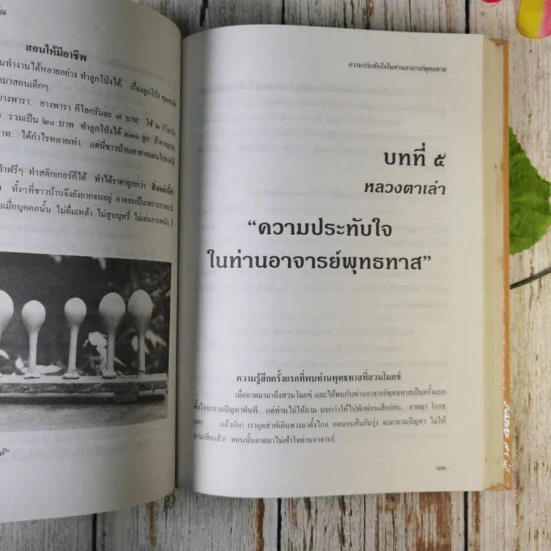 ชีวิตและงานหลวงตาไสว สิวญาโณ แห่งสวนโมกขพลาราม รูปที่ 15
