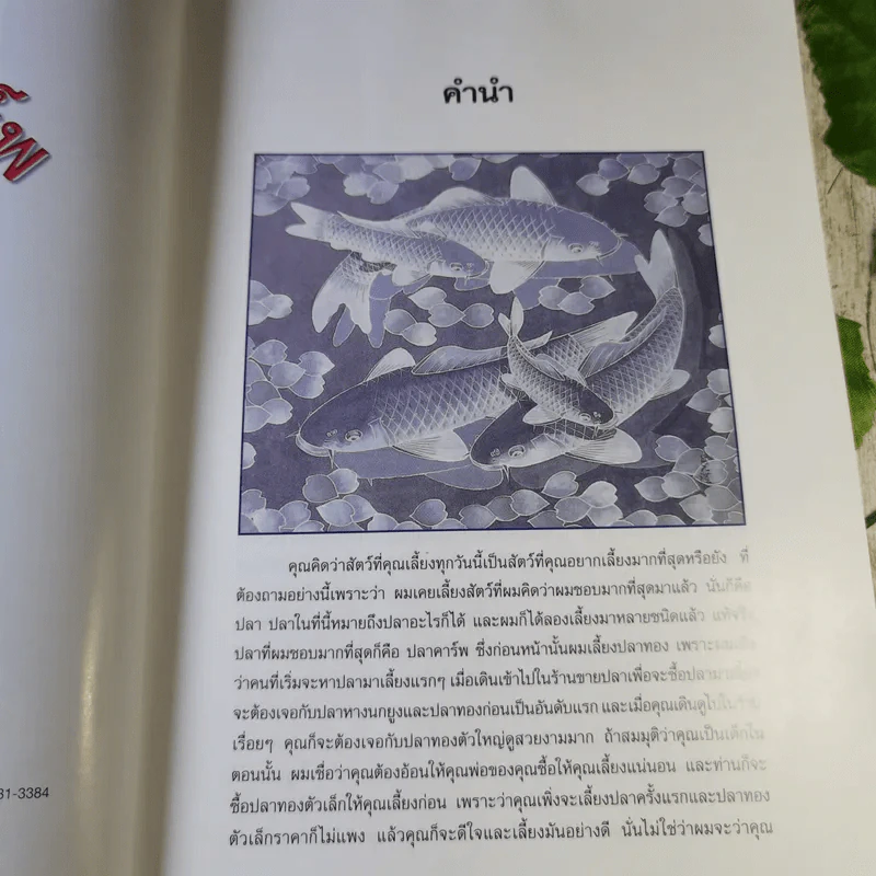 แฟนซีคาร์พ สายพันธุ์และการเลี้ยงปลาคาร์พ ฉบับสมบูรณ์ - ประเสริฐ ไมตรีวงษ์ รูปที่ 9