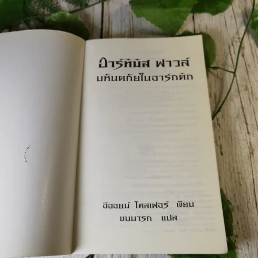 อาร์ทิมิส ฟาวล์ 3 เล่ม มหันตภัยในอาร์กติก, รหัสลับนิรันดร, อีออยน์ โคลเฟอร์ รูปที่ 22
