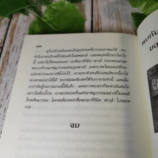 อาร์ทิมิส ฟาวล์ 3 เล่ม มหันตภัยในอาร์กติก, รหัสลับนิรันดร, อีออยน์ โคลเฟอร์ รูปที่ 14