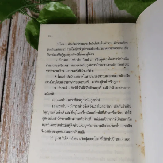 อาร์ทิมิส ฟาวล์ 3 เล่ม มหันตภัยในอาร์กติก, รหัสลับนิรันดร, อีออยน์ โคลเฟอร์ รูปที่ 20