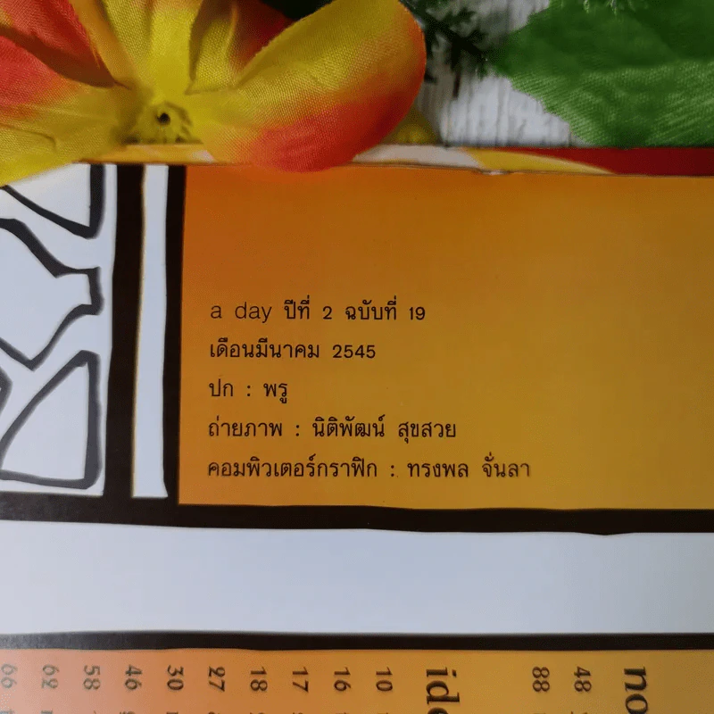 a day Volume 2 Number 19 March 2002 รูปที่ 8