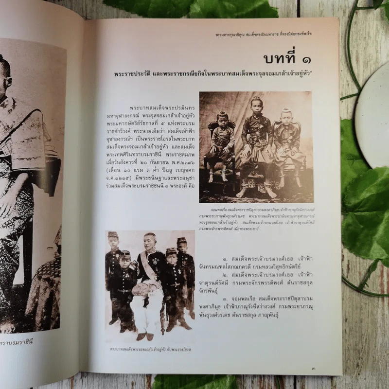 พระมหากรุณาธิคุณ สมเด็จพระปิยมหาราช ที่ทรงมีต่อกองทัพเรือ รูปที่ 13