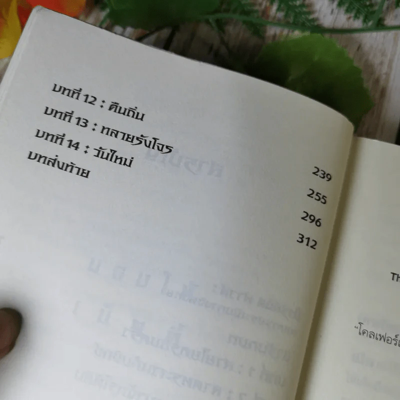 อาร์ทิมิส ฟาวล์ 3 เล่ม มหันตภัยในอาร์กติก, รหัสลับนิรันดร, อีออยน์ โคลเฟอร์ รูปที่ 25
