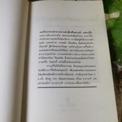 พักใจคลี่คลายอารมณ์ - กิติกร มีทรัพย์ รูปที่ 4