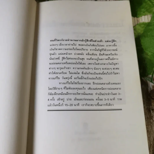 พักใจคลี่คลายอารมณ์ - กิติกร มีทรัพย์ รูปที่ 4
