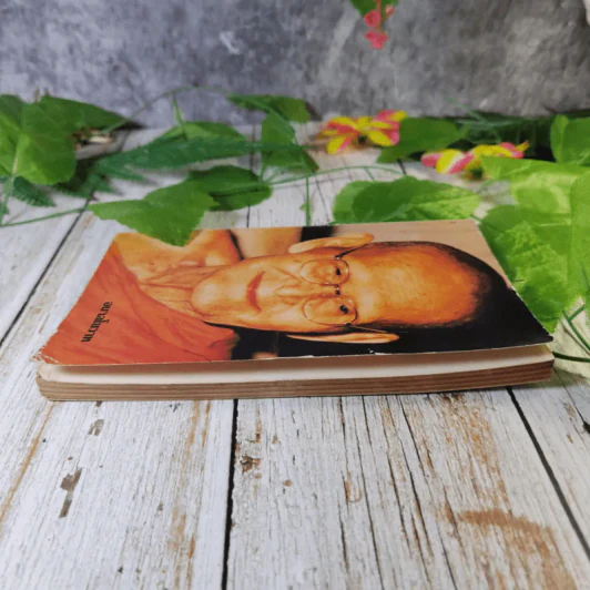 อนาลโยวาท  พระธรรมเทศนาของพระอาจารย์ขาว อนาลโย และประวัติความอาพาธ รูปที่ 3