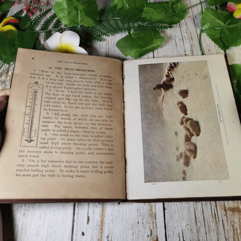 Highroads of Geography Second Book รูปที่ 9