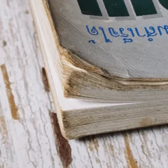 จินตนานุภาพ พลังที่ทำให้ท่านเป็นผู้ชนะและประสบความสำเร็จได้ รูปที่ 7