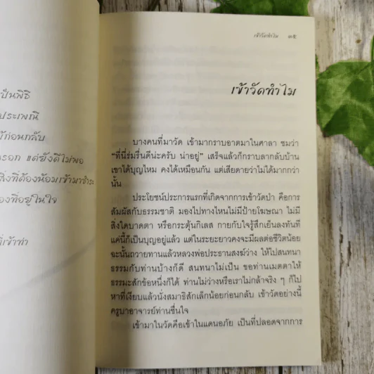 ทำไม - ชยสาโร ภิกขุ รูปที่ 11