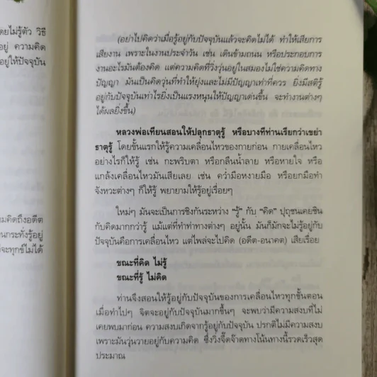 แด่เธอผู้รู้สึกตัว - หลวงพ่อเทียน จิตฺตสุโภ รูปที่ 15