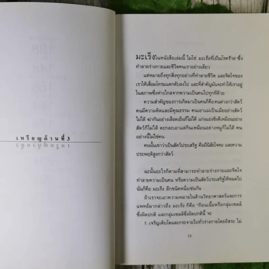 มะเร็งแห่งชีวิต - สาทิส อินทรกำแหง รูปที่ 14