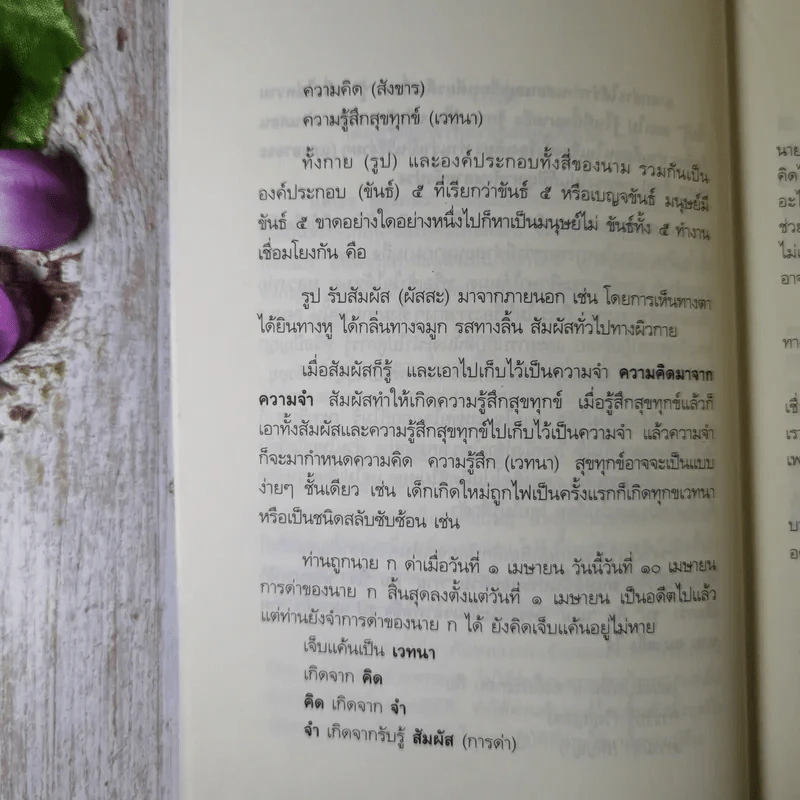 แด่เธอผู้รู้สึกตัว - หลวงพ่อเทียน จิตฺตสุโภ รูปที่ 12