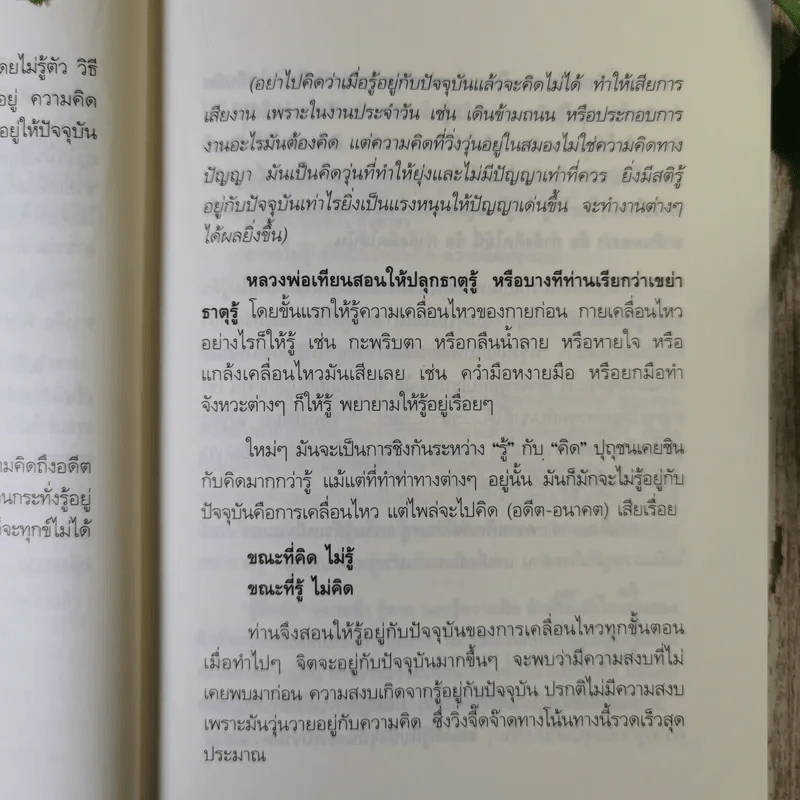 แด่เธอผู้รู้สึกตัว - หลวงพ่อเทียน จิตฺตสุโภ รูปที่ 15