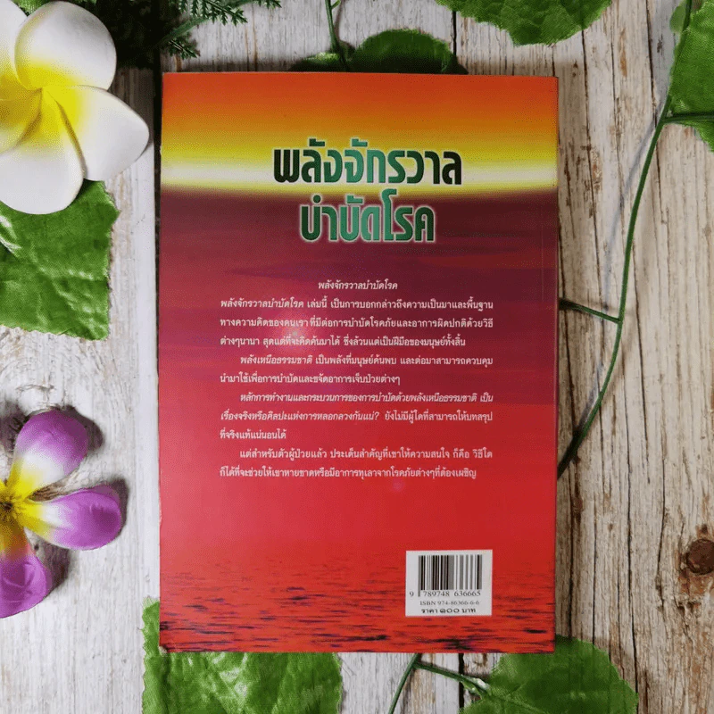 พลังจักรวาล บำบัดโรค - สิงห์คำ โต๊ะงาม รูปที่ 2