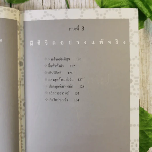 ไม่กลัว ไม่ตาย ฉบับใหม่ - สุวรรณา โชคประจักษ์ชัด รูปที่ 12