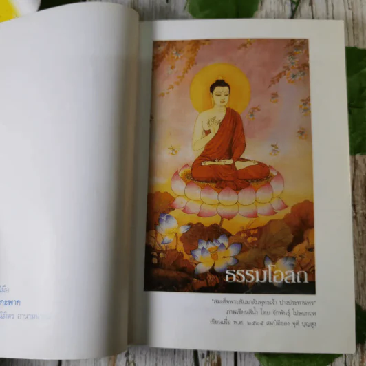 ป่วยแต่กาย ใจสบาย - แพทย์หญิงอมรา มลิลา รูปที่ 9