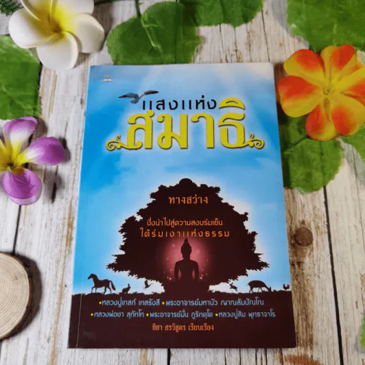 แสงแห่งสมาธิ ทางสว่างซึ่งนำไปสู่ความสงบร่มเย็น ใต้ร่มเงาแห่งธรรม - ชิสา สรวิสูตร รูปที่ 1