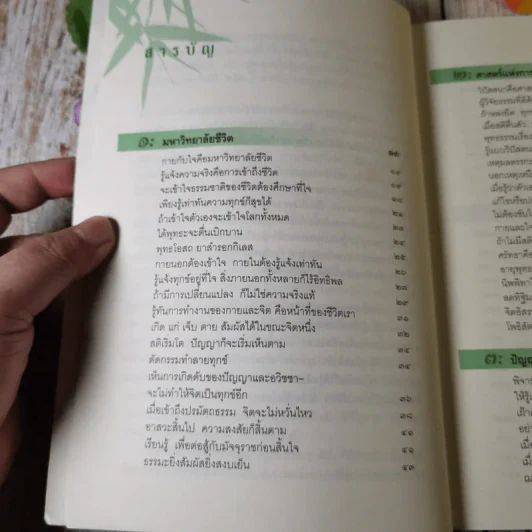 แค่เฝ้าดูก็รู้ธรรม - ส.มหาปัญโญภิกขุ รูปที่ 9