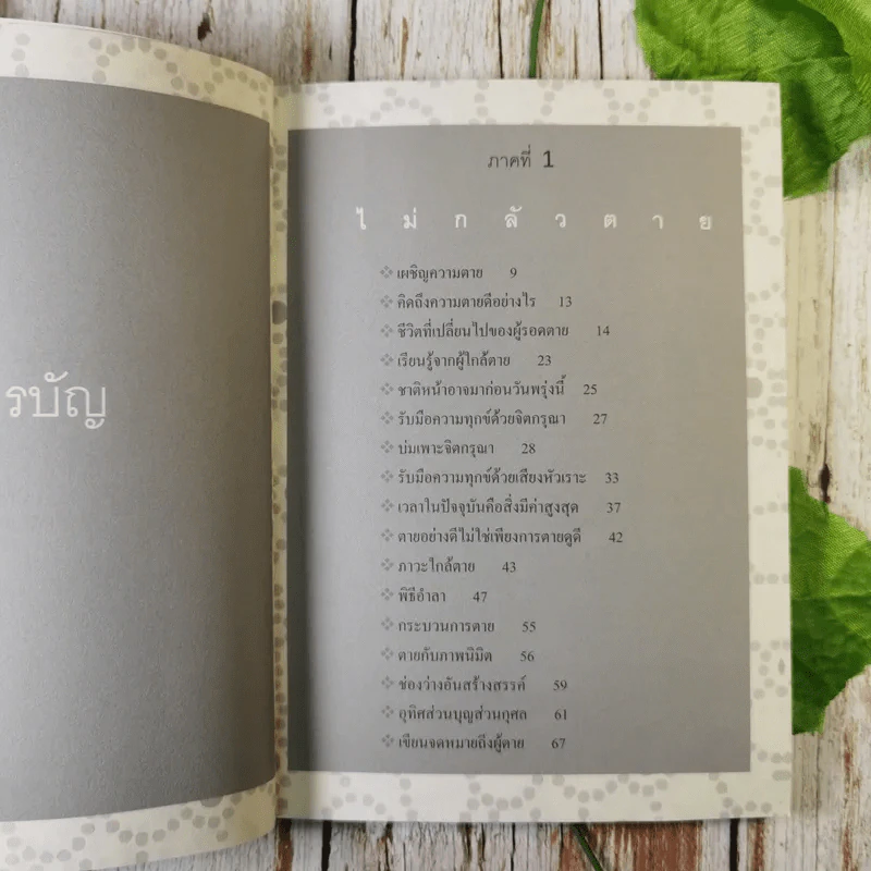 ไม่กลัว ไม่ตาย ฉบับใหม่ - สุวรรณา โชคประจักษ์ชัด รูปที่ 10