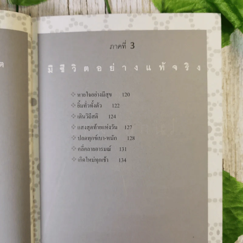 ไม่กลัว ไม่ตาย ฉบับใหม่ - สุวรรณา โชคประจักษ์ชัด รูปที่ 12